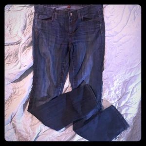 Banana Republic Limited Edition Skinny Jeans 8/29